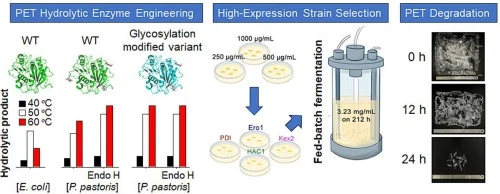 Complete decomposition of poly(ethylene terephthalate) by cr