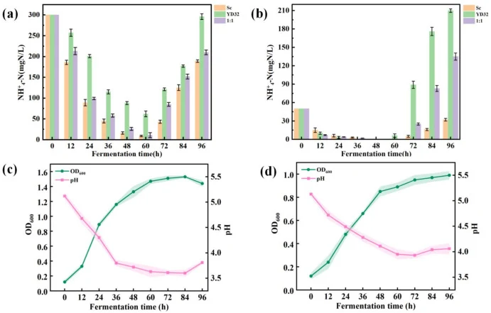 Dynamics of ammonium nitrogen, biomass, and pH under different nitrogen regimes for S. cerevisiae and H. thailandica YD32. (a) NH4 +-N concentration over time under the high-nitrogen condition. (b) NH4 +-N concentration over time under the low-nitrogen condition. (c) Changes in OD600 and pH during f