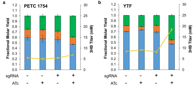 Pta downregulation leads to increased 3HB titer and yield under heterotrophic conditions. Distribution of fermentation products (bars, left axis) and 3HB titer (yellow line, right axis) in C. ljungdahlii strains carrying 3HB plasmid pCL2pta3HB131 and either pMTLdCas9 or pMTLdCas9-pta with or without