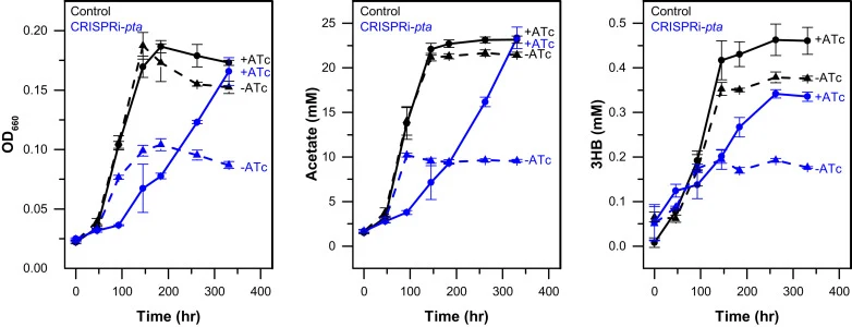 pta downregulation does not improve autotrophic 3HB production. Time course of growth and product titer in C. ljungdahlii carrying pCL2pta3HB131 and pMTLdCas9-PTA (blue) or pCL2pta3HB131 and pMTLdCas9 (black) either induced (solid lines, circles) or not induced (dashed lines, triangles) with 10 ng m