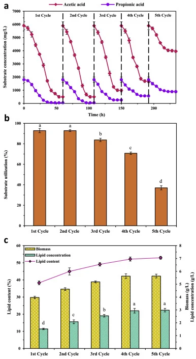 乙酸和丙酸消耗的时间曲线(a),底物利用(b),以及Y. lipolytica在LRKBL中、C/N = 20(硫酸铵+YE)条件下序批式培养时的细胞生物量和SCO产量(c)。培养条件:150 rpm和30 °C。不同let