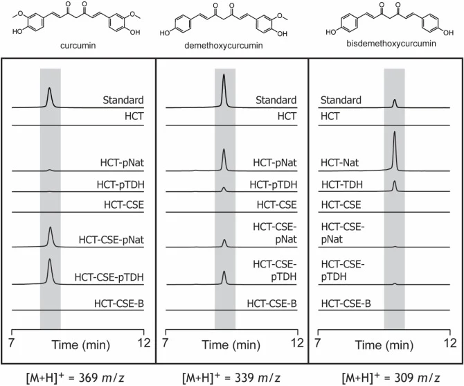 Selected reaction monitoring (SRM) chromatogram of curcuminoids. Chromatogram of curcuminoids from SRM method. The SRM method was developed using curcumin standards (≥95% curcuminoid purity) as the injection solution. Because the other curcuminoids in the standard were still present, the SRM method