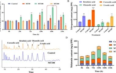 褪黑素牵手WRKY转录因子：枣树三萜生物合成的调控新机制