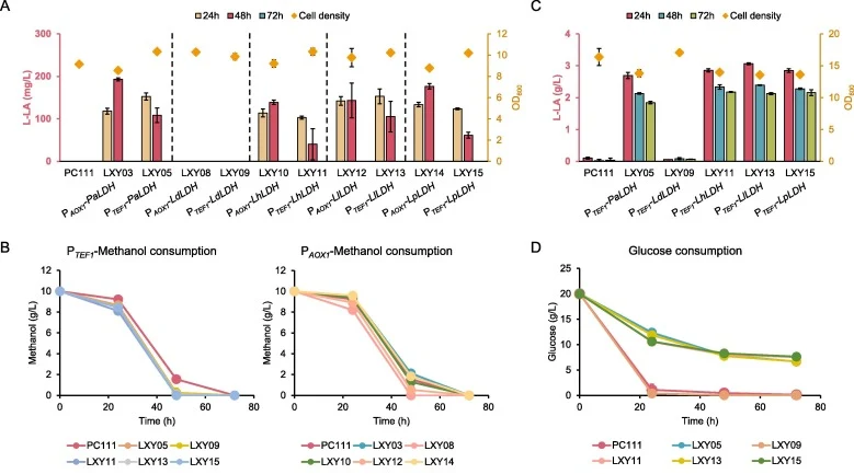 Screening of lactate dehydrogenase. The titers of L-lactic acid and biomass (A), and methanol consumption (B) of strains expressing different lactate dehydrogenases in 10.0 g/L methanol medium. The titers of L-lactic acid and biomass (C), and glucose consumption (D) of strains expressing different l