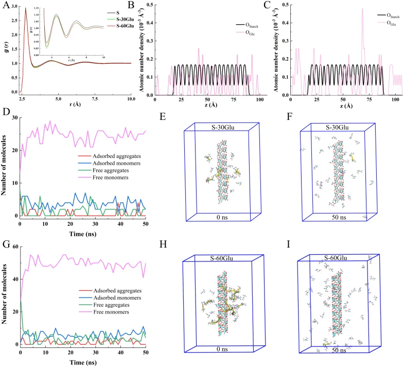 Investigation of the intermolecular interactions between L-Glu and starch and their spatial distribution characteristics. A shows the radial distribution functions (RDFs) of different simulated systems. B and C show the atomic density distributions along the z-axis for the S-30Glu (B) and S-60Glu (C