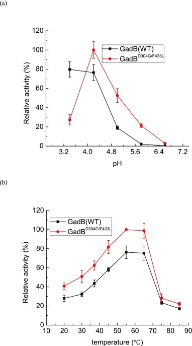 GadBD304G/F433L的酶学性质。(a) GadB(WT)和GadBD304G/F433L的最适pH,(b) GadB(WT)和GadBD304G/F433L的最适温度,(c) GadBD304G/F433L的温度稳定性,(d) GadBD304G/F433L的pH稳定性。