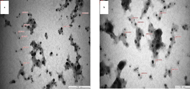 Transmission Electron Microscopy (TEM) images of Bs-AgNPs. a Scale of 200 nm b Scale of 100 nm.