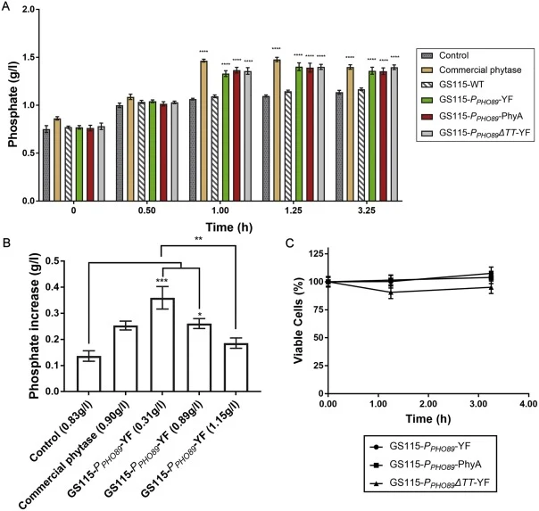 Simulated in vitro digestion model. (A) Hydrated wheat-based meal was incubated with commercial phytase, wild type GS115 or different Pichia transformants (GS115-PPHO89 -YF, GS115-PPHO899 ΔTT-YF, and YF; GS115-PPHO89 -phyA). Distilled water was used as the control. Samples were aliquoted at time int