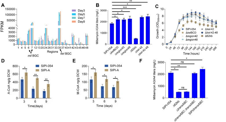 Identification and deletion of competitive biosynthetic pathways in S. hygroscopicus SIPI-054 to construct the optimized chassis strain SIPI-A. A. Transcriptional analysis of PKS-like BGCs in S. hygroscopicus SIPI-054 by RNA-seq. The overall transcript levels of genes within 21 PKS-like clusters wer