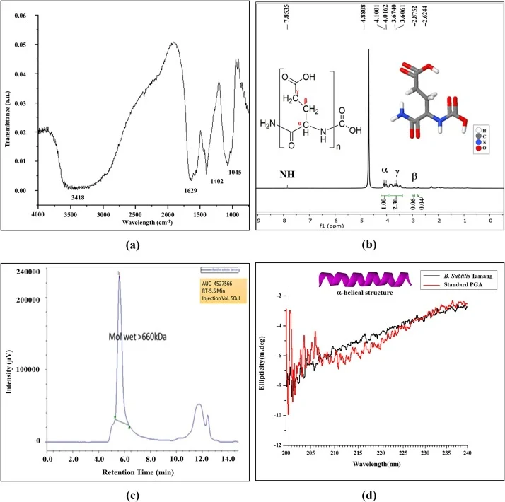 (a) FTIR absorption spectrum of g-PGA for functional group analysis using FTIR spectroscopy; (b) Peak analysis for the chemical structure of g-PGA of B. subtilis Tamang using the 1H NMR (400 MHz) spectrum, where D2O (4.8 ppm) was used as a solvent; (c) The relative molecular weight determination of