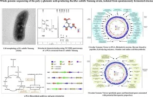 Whole genome sequencing of the poly-γ-glutamic acid-producin