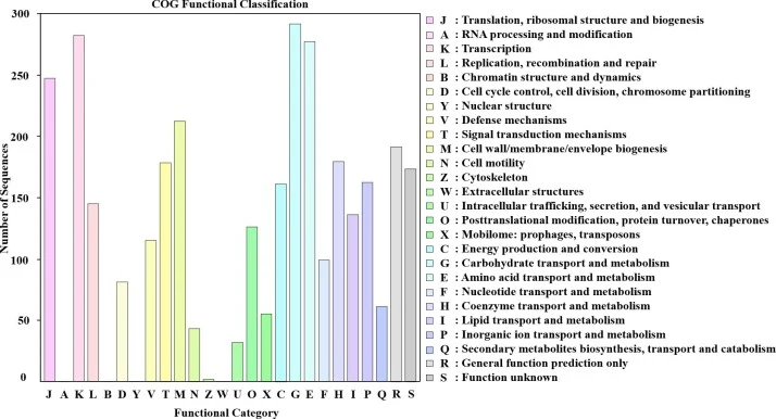 Whole genome sequencing of the poly-γ-glutamic acid-producin