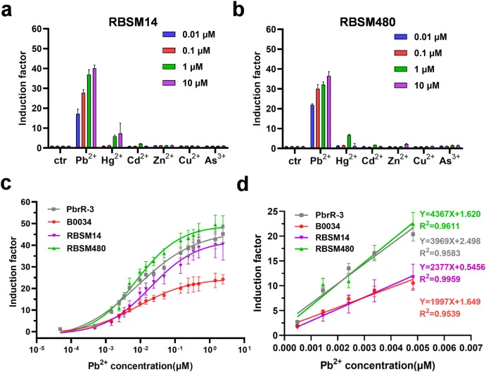 Sensitivity and specificity of mutant screening WCBs. a. Specificity of RBSM14 WCB to different heavy metal ions. b. Specificity of RBSM480 WCB to different heavy metal ions. c. Dose-response curves of evolved PbrR-3 WCB and WCBs optimized via TF shielding. d. Linear fit of wild-type and evolved Pbr