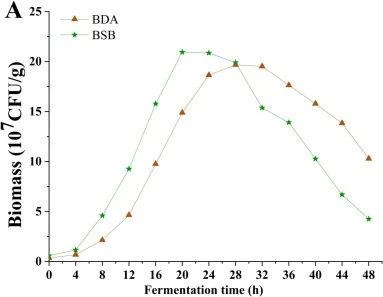 发酵过程中关键理化参数和风味相关化合物的变化。生物量(A)；pH(B)；BSB发酵期间游离氨基酸含量(C)；BDA发酵期间游离氨基酸含量(D)；铵含量(E)；乙偶姻含量(F)；TTMP含量(G)。
