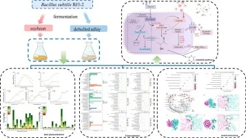 Insights into the mechanism of enhanced tetramethylpyrazine 