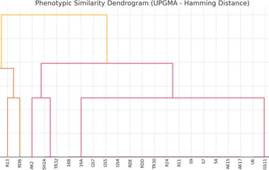 The phenogram generated from biochemical data and carbon utilization profiles.