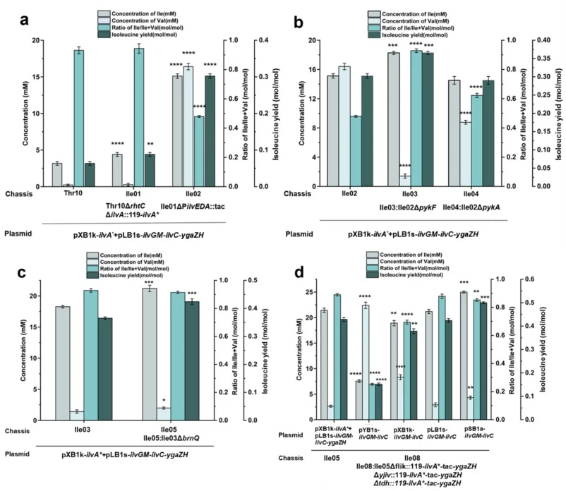 A multipronged strategy for assembling an efficient l-isoleucine synthesis module.(a) Effects of rhtC deletion and ilvED overexpression on l-isoleucine biosynthesis. (b) Effects of single-gene knockouts of pykF and pykA. (c) Elimination of the branched-chain amino acid transporter BrnQ blocks l-isol