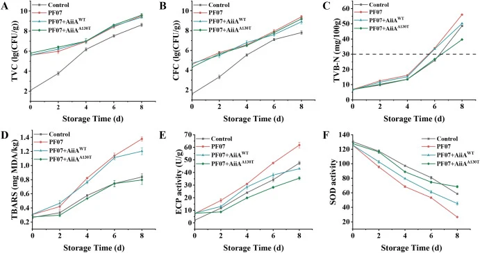 Effects of AiiAA130T and AiiAWT treatment on the quality of chilled large yellow croaker stored at 4 °C. (A–B) Microbiological parameters, including TVC (A) and CFC (B). (C–F) Chemical quality indicators, including TVB-N (C), TBARS (D), ECP activity (E) and SOD activity (F). Physical indicators are