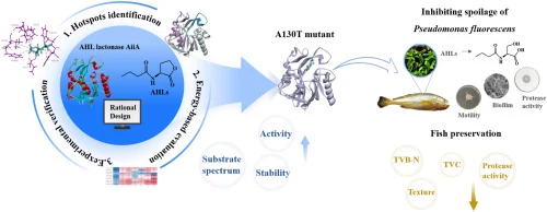 Efficient quenching activity and thermostability of N-acyl h