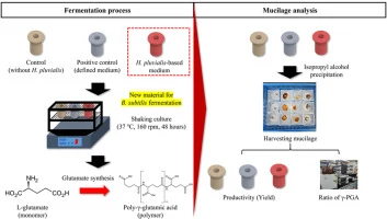 Enhancement of bioactive compounds in Haematococcus pluviali