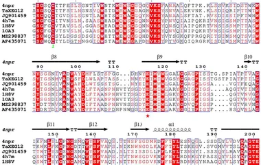 Multiple sequence alignment of TaXEG12 (GenBank accession No. XAM95724 ) with other GH12 xyloglucanases, including Asper