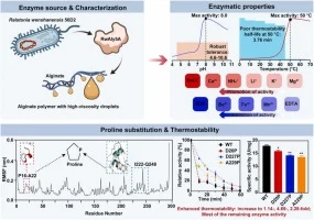Insights into thermostability enhancement of a PL-5 alginate