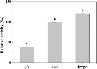 菌株 g/v、4c/v 和 4c + g/v 中 TLL 的分泌表达。菌株 4c