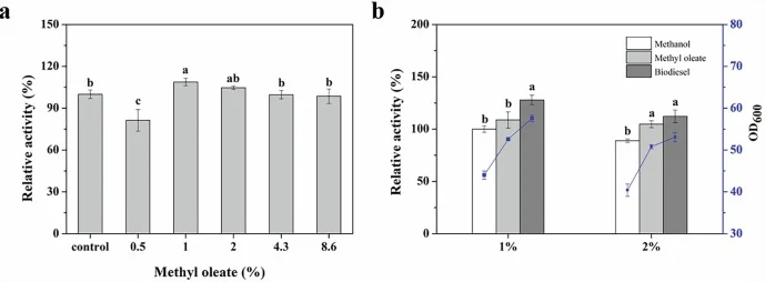Secretory expression of TLL in the strain 4c + g/v after 96 h induction with methyl ester. a. Induction with different concentration of methyl oleate. b. Induction with 1 %, 2 % (v/v) methanol, methyl oleate and biodiesel. The strain 4c + g/v induced with 1 % (v/v) methanol was used as control. Diff