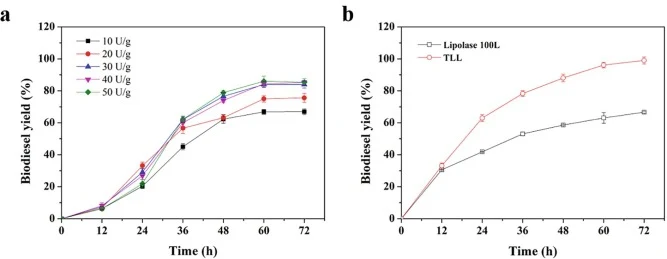 由麻风树油在无溶剂体系中经TLL催化生产生物柴油。a. 酶添加量对生物柴油产率的影响。b. 在最优反应条件下,TLL和Lipolase 100L催化生产生物柴油。最优反应条件:反应温度35 °C,脂肪酶