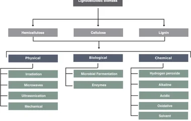 Illustrative pretreatment workflow for lignocellulosic agricultural residues before microbial fermentation, showing repr