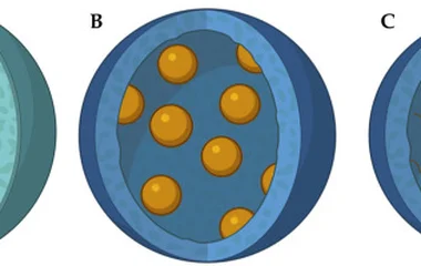 Conceptual schematic of microencapsulated unit architectures for cell-free and cell-in microbial products. (A) Core–shel