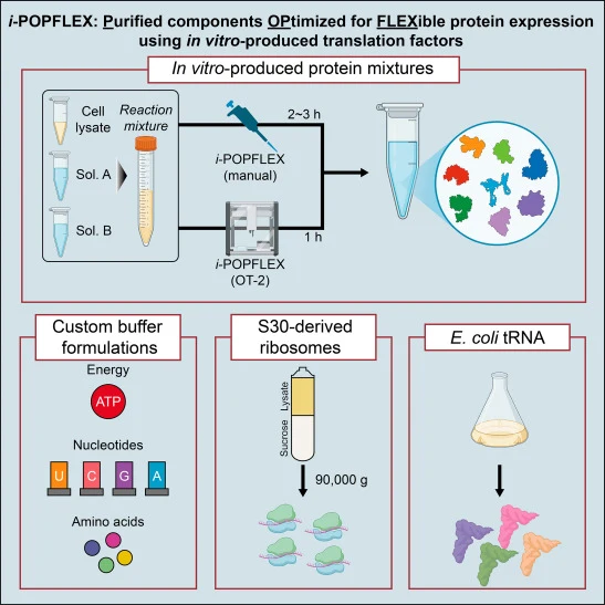 Automated, modular assembly of reconstituted cell-free syste