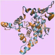 Structural comparison of Native and N60A mutant BTL2 lipase. Ribbon diagram showing superimposed three-dimensional structures of Native (cyan) and N60A mutant (orange) lipases. The structures were generated through homology modeling using SWISS-MODEL with PDB 2W22 as a template and refined using the