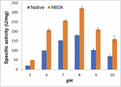 pH-activity profile of Native and N60A mutant lipases. Lipase activity was measured at 55°C using the pH-stat method with tricaprylin (C8) as substrate across a pH range of 5.0–10.0. Both enzymes displayed a broad pH optimum with peak activity at pH 8.0–8.5, consistent with alkaline lipases. The N60