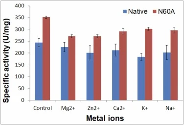 Effect of metal ions on the activity of Native and N60A mutant lipases. Residual activity of lipases after 1-hour incubation with 2 mM solutions of various metal chlorides. Activity was measured under standard conditions (55°C, pH 8.0, C8 substrate) and normalized to untreated controls. Both enzymes