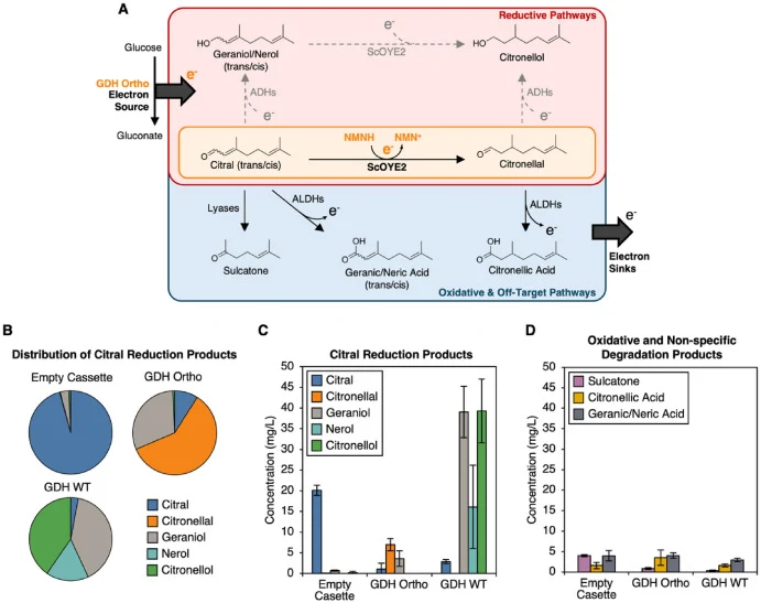 NMN(H) Supports Specific Delivery of Reducing Power in S. cerevisiae . A) Model system of citral reduction to citronellal, mediated by NMNH, ScOYE2, and GDH Ortho. The NMN+ pool is supplied by exogenous supplementation of 10 mM NMN+. GDH Ortho serves as the electron source for orthogonal reducing po