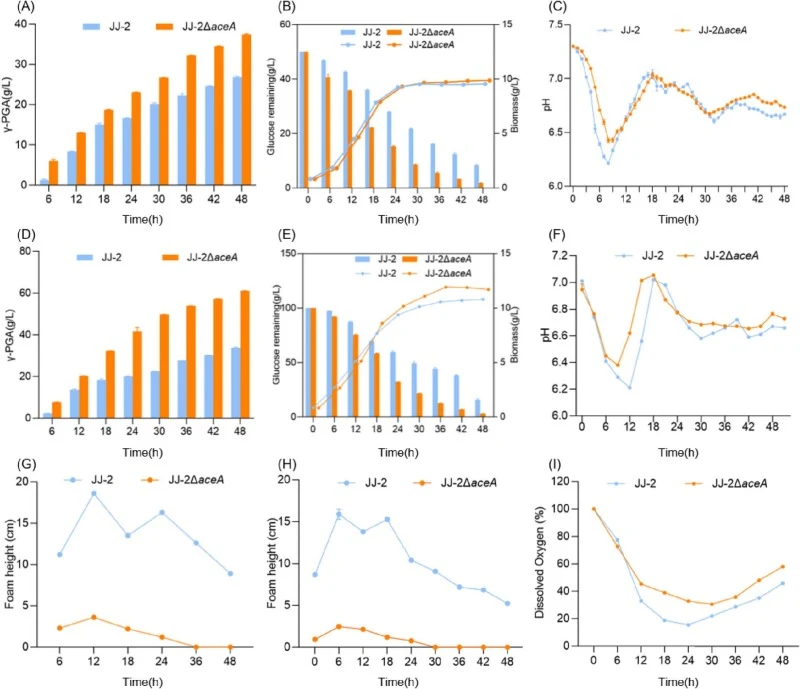 Fermentation performance in 5 L and 50 L bioreactors. (A-C) γ-PGA yield, glucose consumption, biomass, and pH profiles in 5 L bioreactors. (DF) Corresponding parameters in 50 L bioreactors. (G-H) Foam height monitoring in 5 L and 50 L fermenters, respectively. (I) Dissolved oxygen in the 50 L fermen