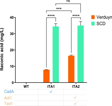 Comparison of the native itaconic acid biosynthetic routes from U. maydis and A. terreus in S. cerevisiae. Direct comparison of the itaconic acid formed using the A. terreus (CadA, blue) or the U. maydis (Tad1 and Adi1, beige) biosynthesis routes after 72 h in synthetic complete (SCD) or Verduyn sup