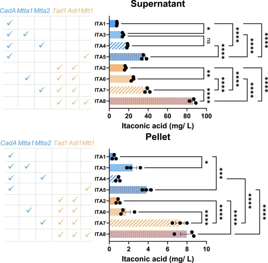The introduction of mitochondrial transporters drastically improves itaconic acid production in S. cerevisiae. Itaconic acid titers in supernatant (top) and pellet (bottom) were obtained upon cultivation in Verduyn medium for 72 h. The checkmark indicates the presence of biosynthetic enzymes or mito