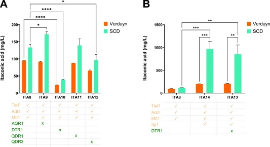 Landscaping plasma membrane transporters to characterize itaconic acid export mechanism in S. cerevisiae. (A) Deletion strains derived from the ITA8 strain with a deletion of AQR1, DTR1, QDR1, or QDR3 were used to assess itaconic acid titers in the supernatant. (B) The addition of the U. maydis itac