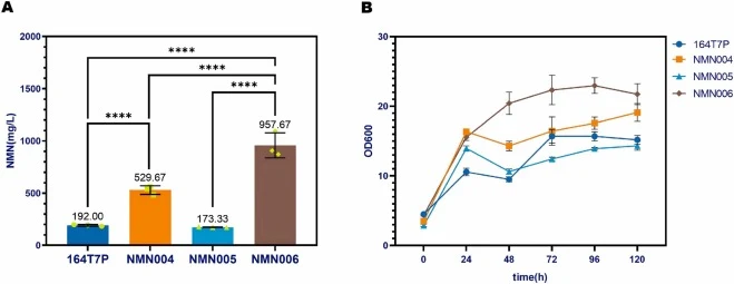 Effects of reinforced PRPP biosynthetic pathway on NMN biosynthesis titers and cellular growth. (A) Comparison of NMN titers across engineered strains with upregulated PRPP biosynthesis after 120 h of fermentation. (B) Time-dependent cell growth curves of strains cultured with 20 g/L glucose serving
