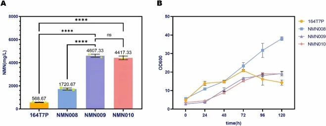 Effects of genetic modification of native PRS on NMN biosynthesis and cell growth. (A) NMN titers of strains with distinct in situ PRS modifications, including native PRS, PRS knockout, and T7 promoter-driven feedback-resistant L135I mutant, following 120 h of fermentation. (B) Corresponding cell gr