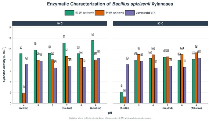 PH-activity profiles of xylanases from B. spizizenii strains S3, S4, and commercial VTR at 40 °C and 50 °C. Activity (U/mL) was measured across pH 4–9. Different lowercase letters above bars indicate statistically significant differences within each temperature panel ( p < 0.05, LSD test). Letter