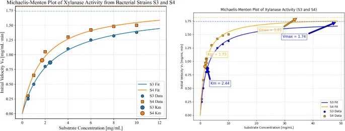 菌株S3和S4的木聚糖酶活性在最优条件(pH 7.0,50 °C)下的Michaelis–Menten图。显示了实验数据点,拟合曲线代表Michaelis–Menten回归,水平虚线表示Vmax,大点标记Km值。