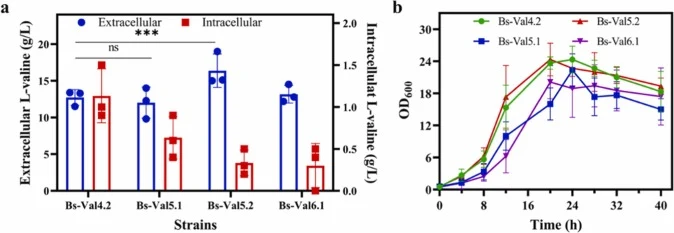 Effects of modification of the export system on L-valine production and cell growth. (a) The extracellular L-valine and intracellular L-valine. (b) The cell density of different recombinant strains. Each data point was measured in duplicate or triplicate, and error bars show the standard deviation.