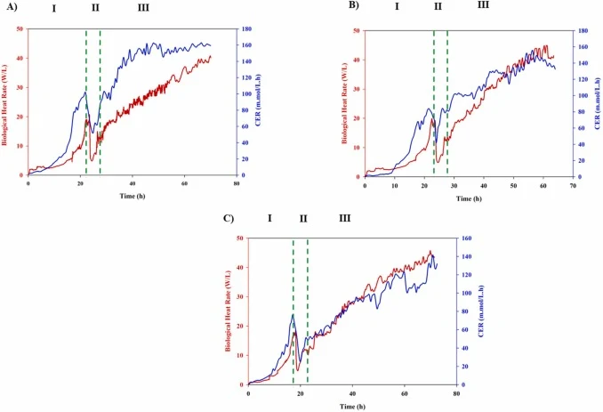 Real-time dynamic profiles of biological heat rate (Red continuous) and CER (Blue continuous) segregated into I) Glycerol batch phase, II) Adaptation phase, III) Induction phase for three different control strategies A) On/off control, B) PI control, C) Model-based adaptive PI control.