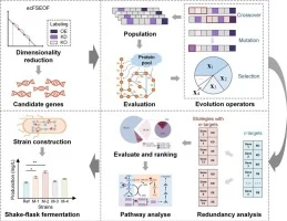 Efficient cell factory design by combining meta-heuristic al