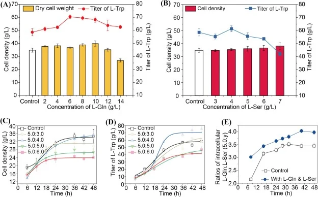 Effect of l-Gln and l-Ser pool size and ratio on l-Trp production. (A) Effect of l-Gln concentration on cell growth and l-Trp titer of strain TRP10. (B) Effect of l-Ser concentration on the cell concentration and l-Trp titer of strain TRP10. (C) Effect of the intracellular l-Gln:l-Ser ratio on the c