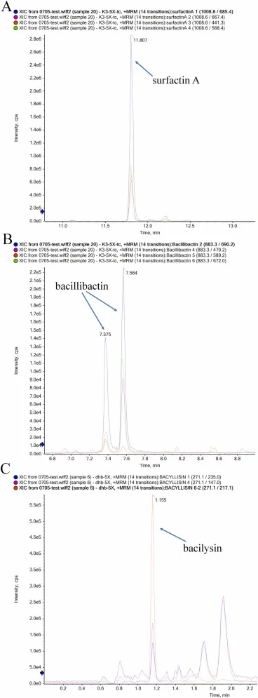 B. subtilis JSHY-K3发酵上清液中surfactin A、bacillibactin和bacilysin对应的多MRM通道XIC。(A-C)依次为surfactin、bacillibactin和bacilysin对应的多MRM通道XIC。