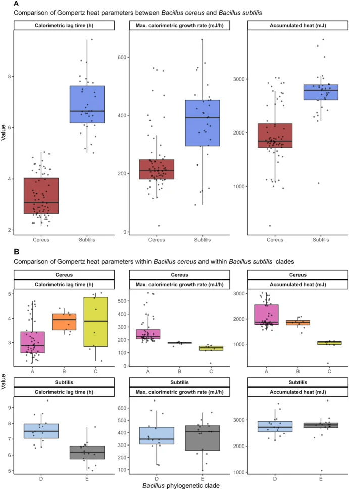 All Gompertz parameters derived from the heat-flow curves differed significantly between B. cereus and B. subtilis, with additional parameter-specific variation observed within clades. Calorimetric lag time (h), maximum calorimetric growth rate (mJ∗h−1), and total heat (mJ) after 20 h. Calorimetric